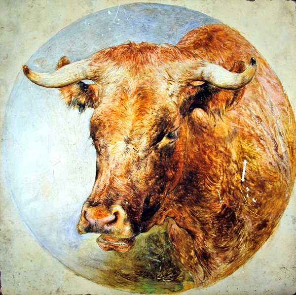 Głowa krowy Longhorn autorstwa William Huggins