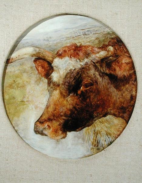 Głowa krowy Longhorn autorstwa William Huggins