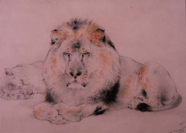 Lew i Lwica autorstwa William Huggins