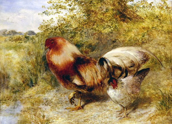Drób w krajobrazie autorstwa William Huggins