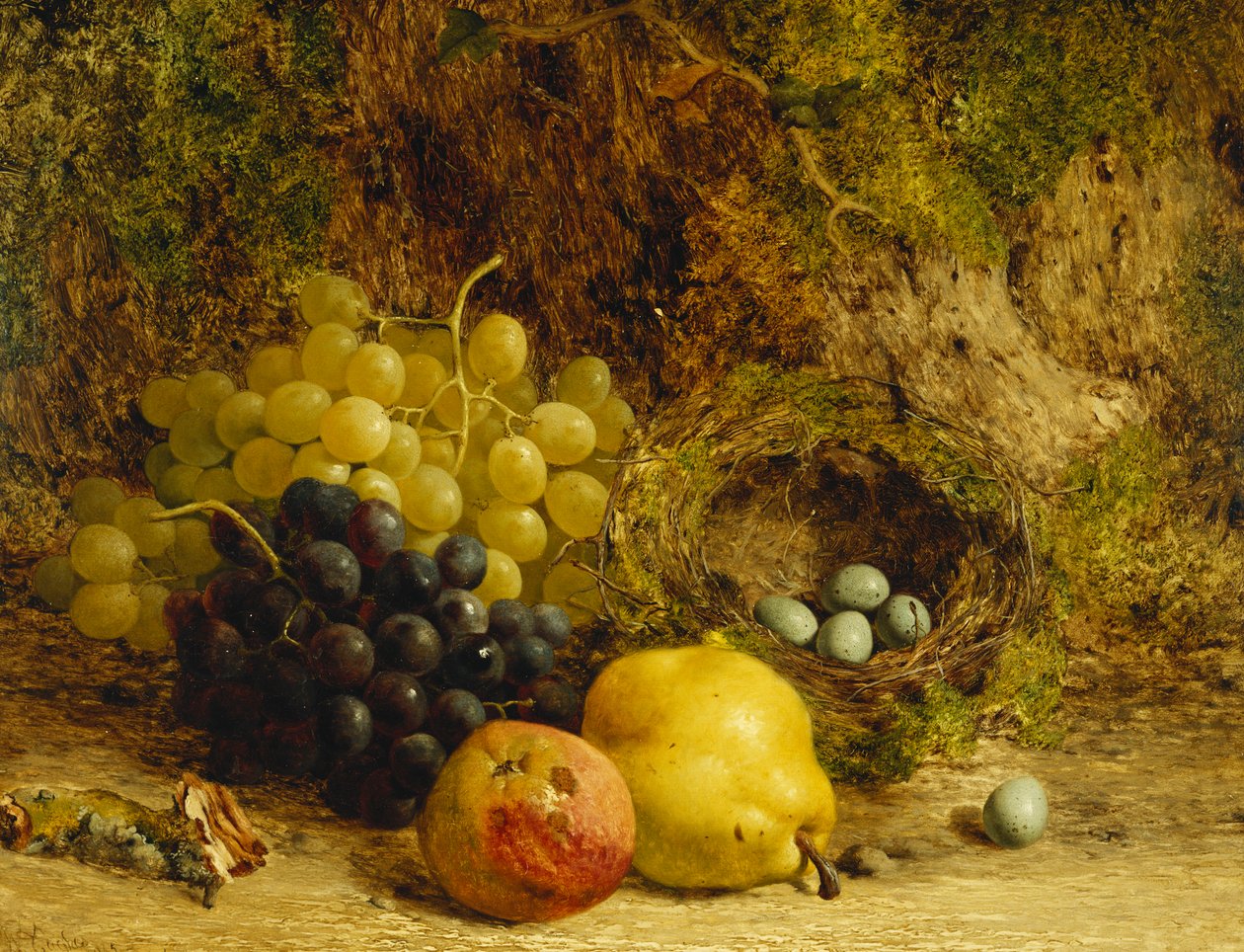 Winogrona, jabłko, gruszka i ptasie gniazdo na omszałym brzegu, 1865 autorstwa William Hughes