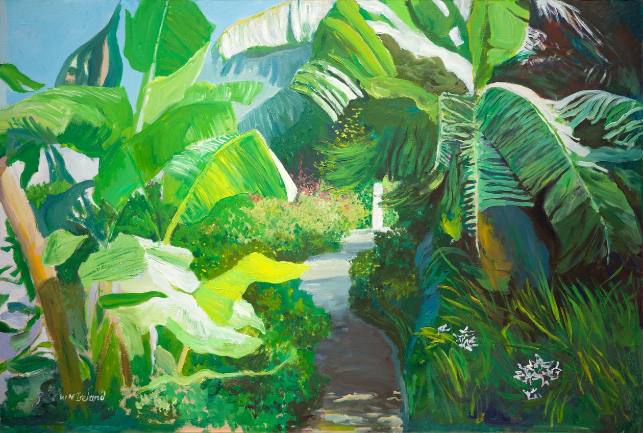 Morne Rouge, Grenada (olej na pokładzie) autorstwa William Ireland