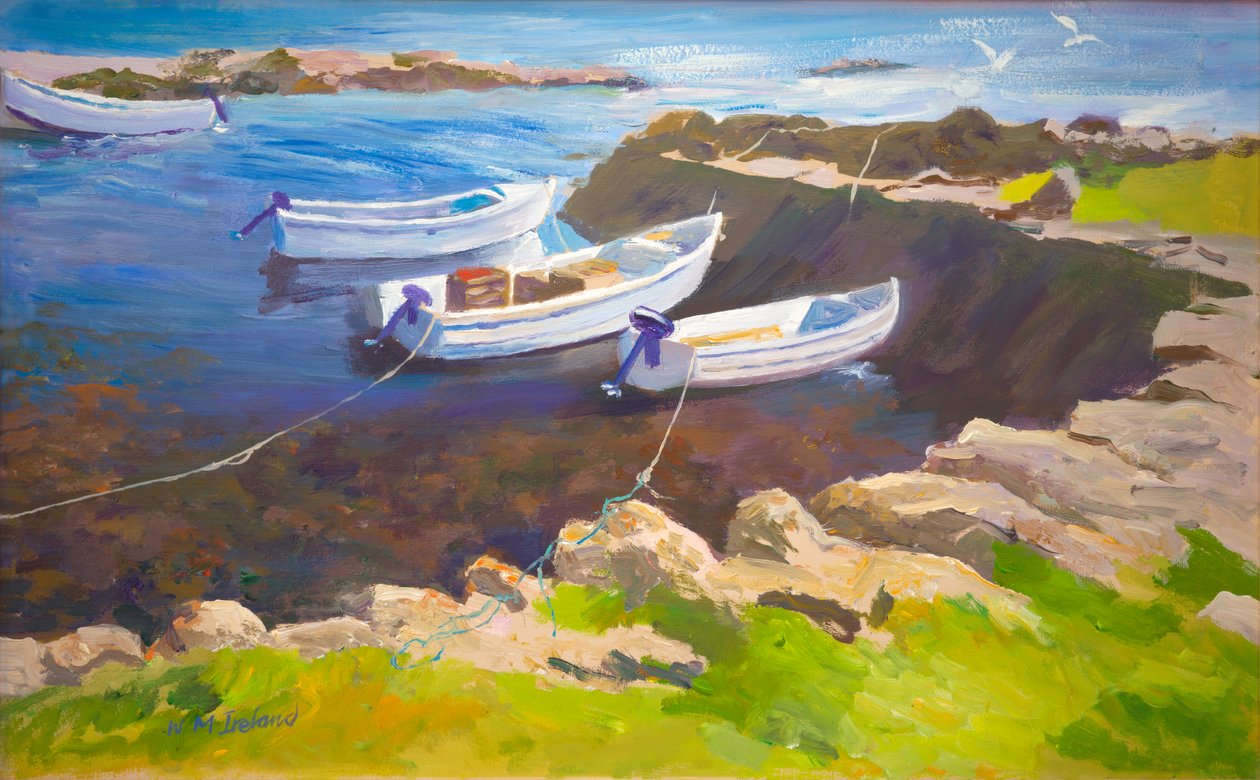 Skalisty port (olej na pokładzie) autorstwa William Ireland