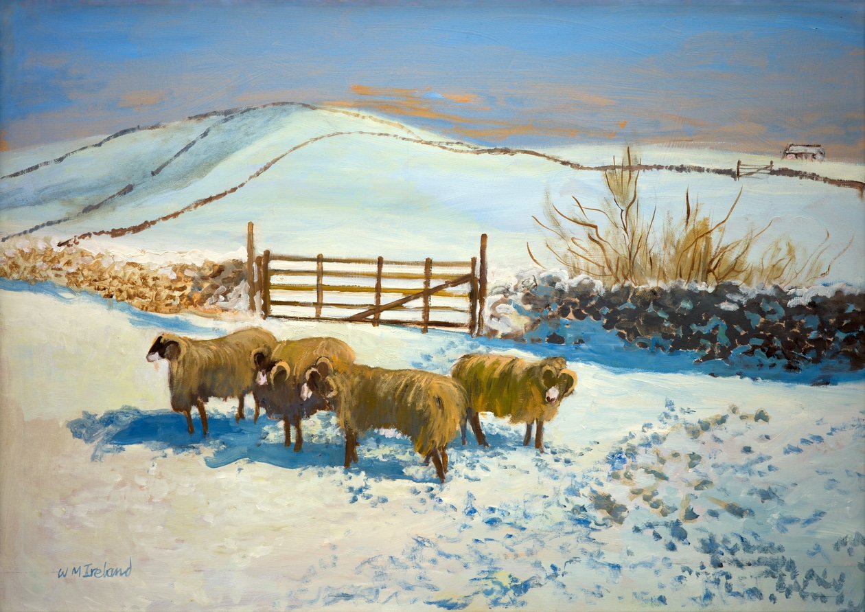 Śnieg w Yorkshire Dales (olej na pokładzie) autorstwa William Ireland