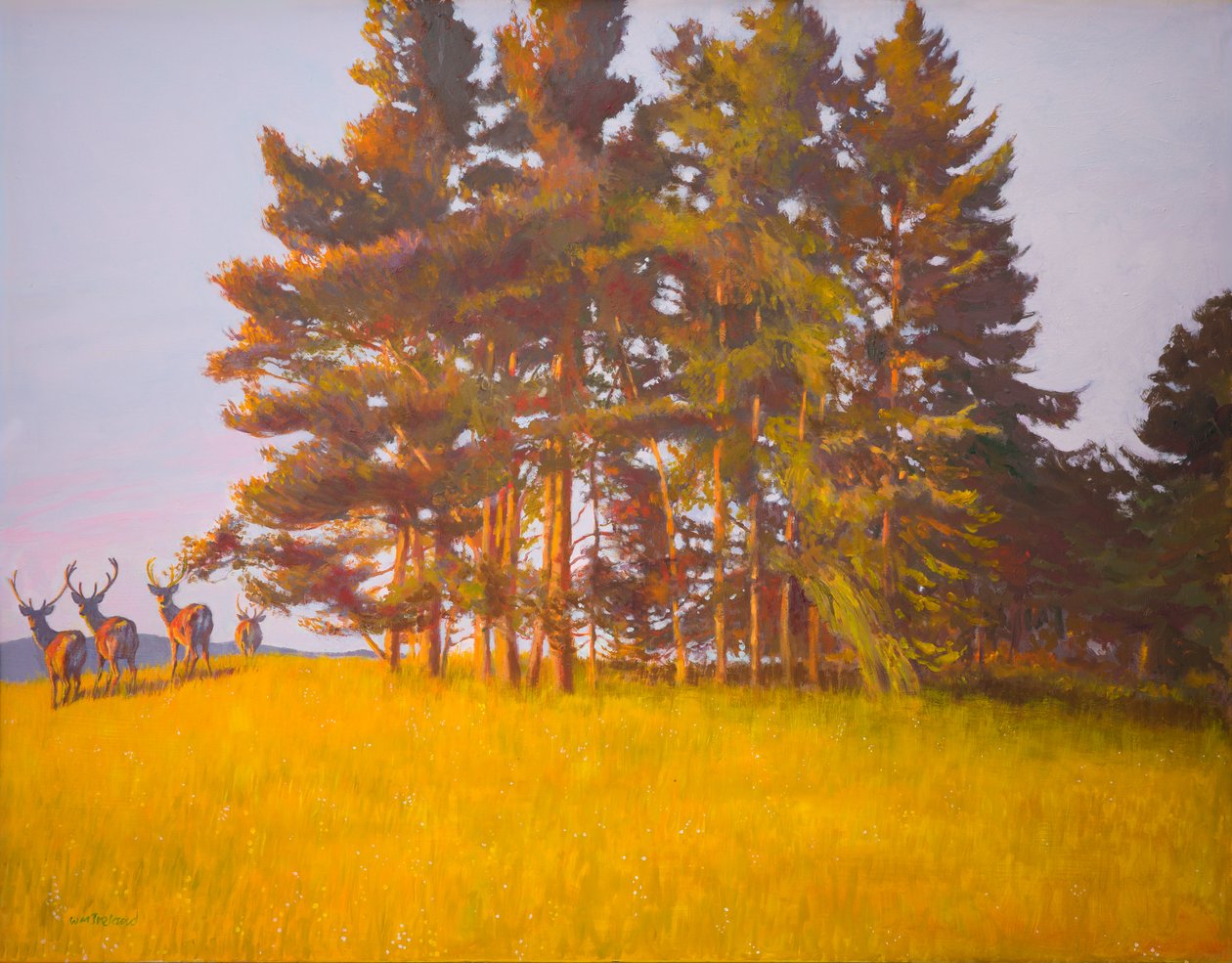 Widok z kabiny (olej na pokładzie) autorstwa William Ireland