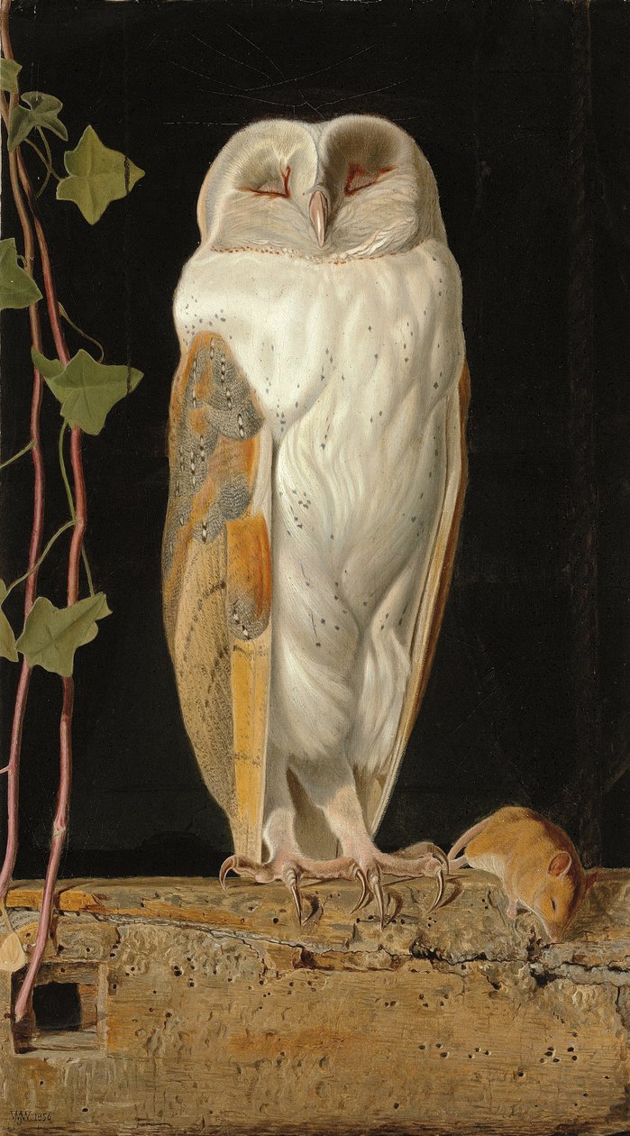 Biała Sowa: „Sam i rozgrzewając swoje pięć rozumów, w dzwonnicy siedzi biała sowa”, 1856 autorstwa William J. Webbe