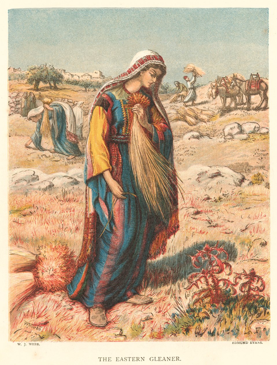 The Eastern Gleaner (kolorowa rycina) autorstwa William J. Webbe or Webb