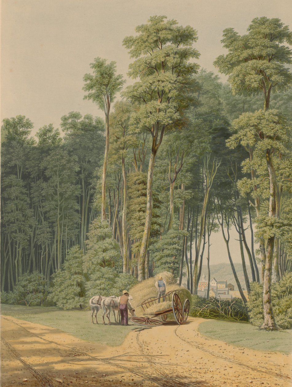 Lato — wypadek drogowy. Rzut oka na otwarcie Prymitywnego Lasu... 1841. autorstwa William James Bennett
