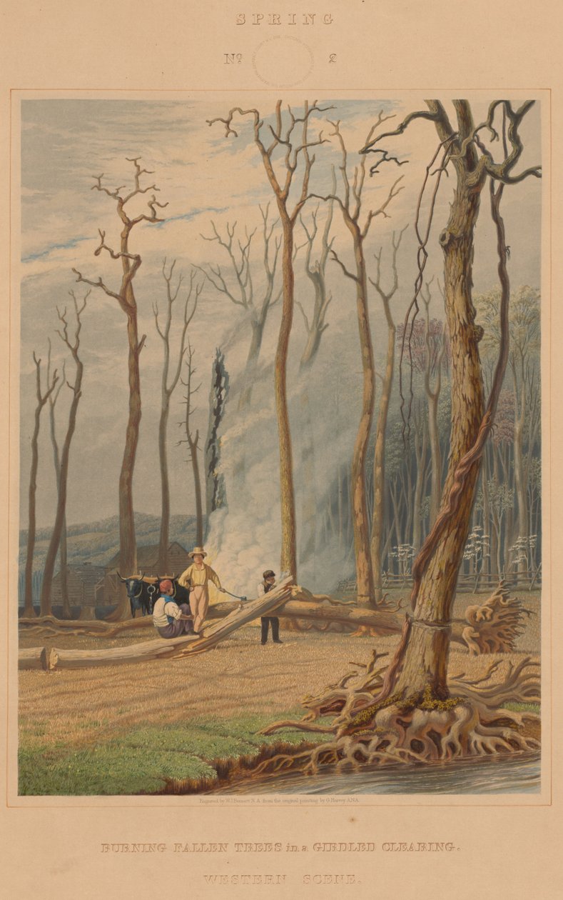 Wiosna — palenie powalonych drzew na opasanej polanie. Scena zachodnia autorstwa William James Bennett after George Harvey