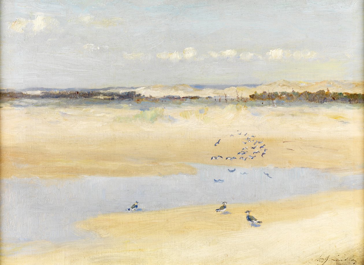 Czajki nad morzem autorstwa William James Laidlay