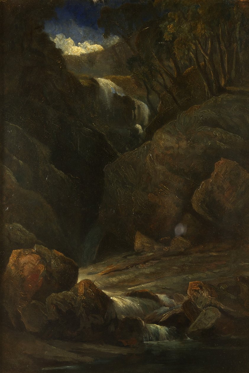 Wodospad autorstwa William James Muller
