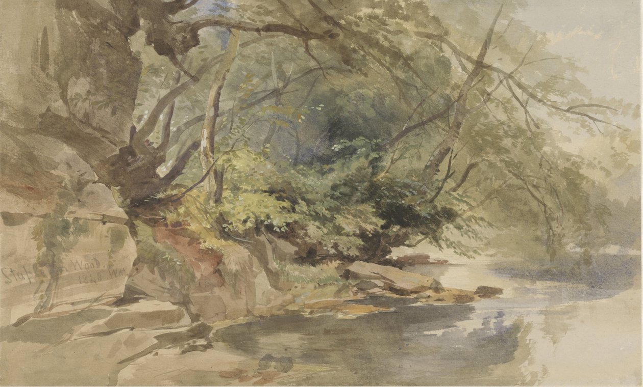 Twarz w Stapleton Wood, niedaleko Bristolu autorstwa William James Muller