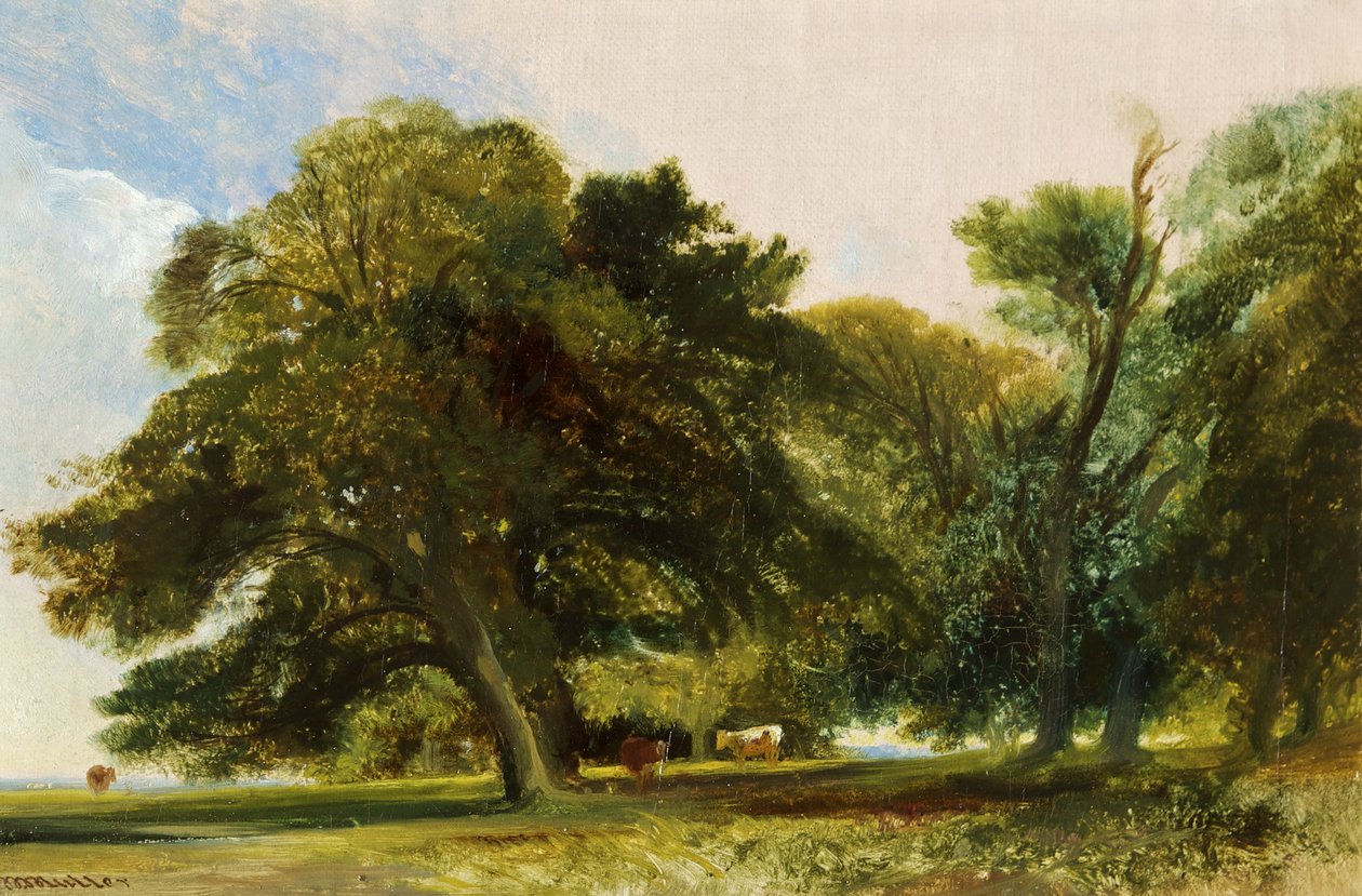 Kingsweston Park - Szkic, ok. 1833 (olej na płótnie) autorstwa William James Muller