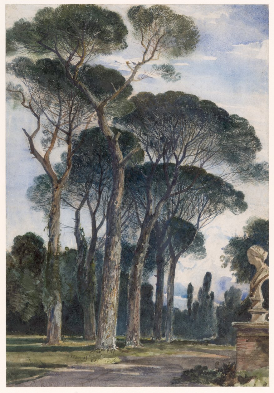 Sosny piniowe w Villa Borghese w Rzymie autorstwa William James Muller