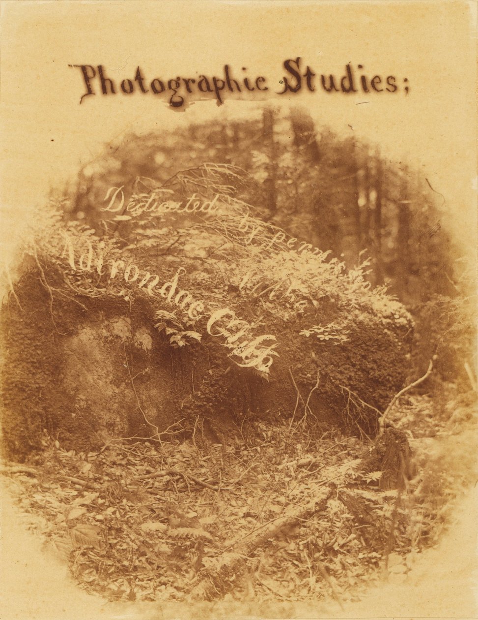 Bez tytułu, z portfolio The Forest: Adirondack Woods autorstwa William James Stillman