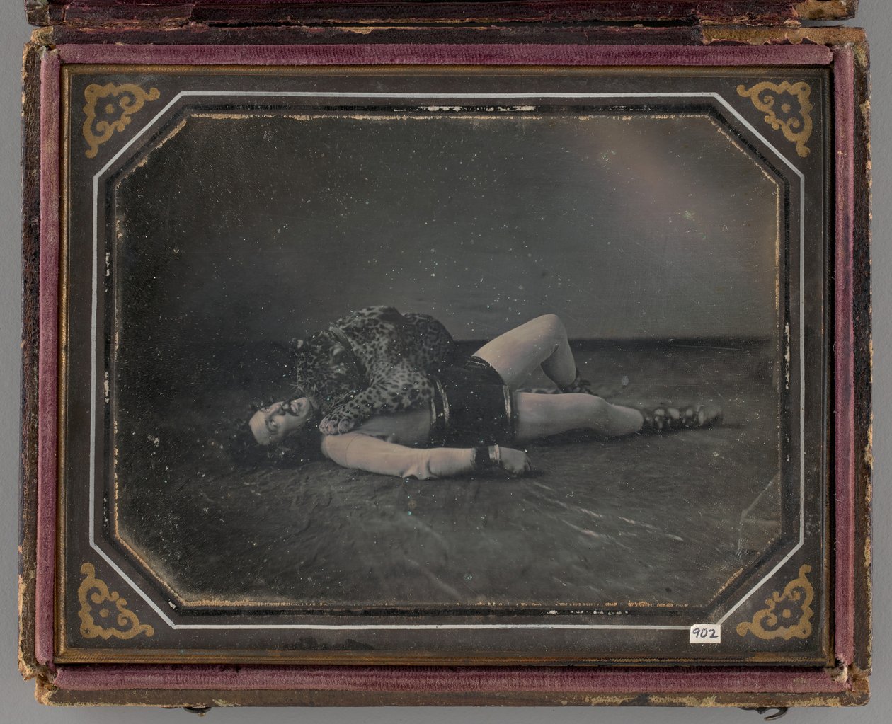 Bez tytułu Portret poskramiacza dzikich zwierząt Jacoba Driesbacha z Jaguarem, 1850 autorstwa William Langenheim