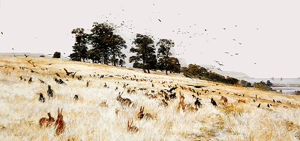 A Rookery, ok.1889 (olej na płótnie) autorstwa William Lionel Wyllie