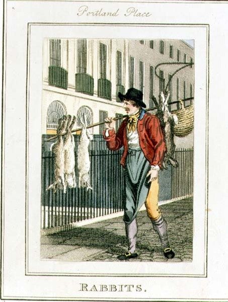 Króliki, Portland Place, z "Cries of London", wyd. przez Richarda Phillipsa (1778-1851) 1804 (rycina) autorstwa William Marshall Craig