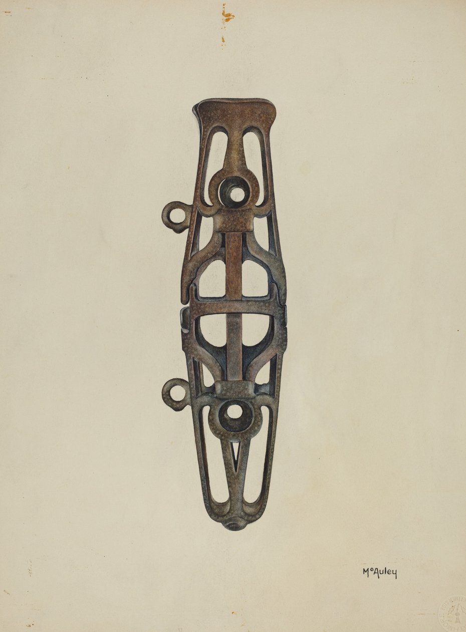 Gniazdo biczowe, c. 1937. autorstwa William McAuley