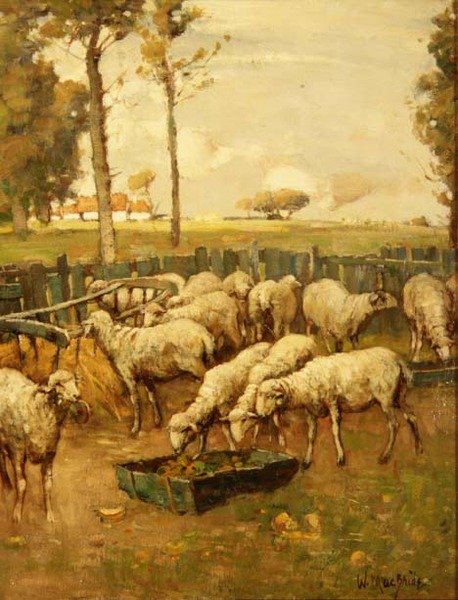 Składanie owiec autorstwa William McBride