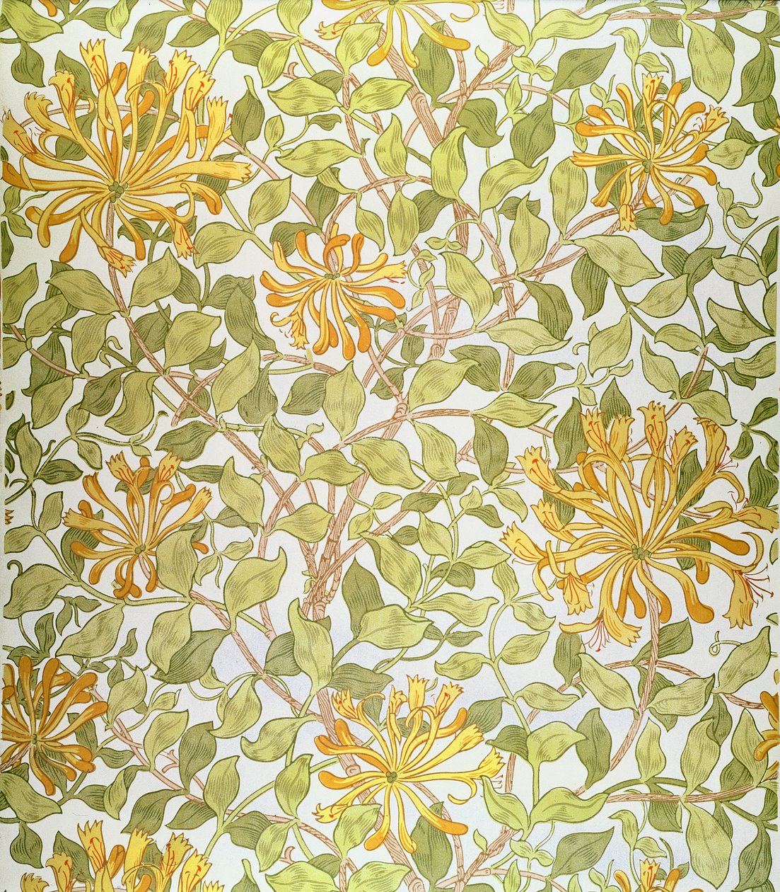 Projekt „Kaprys”, 1883 r. autorstwa William Morris