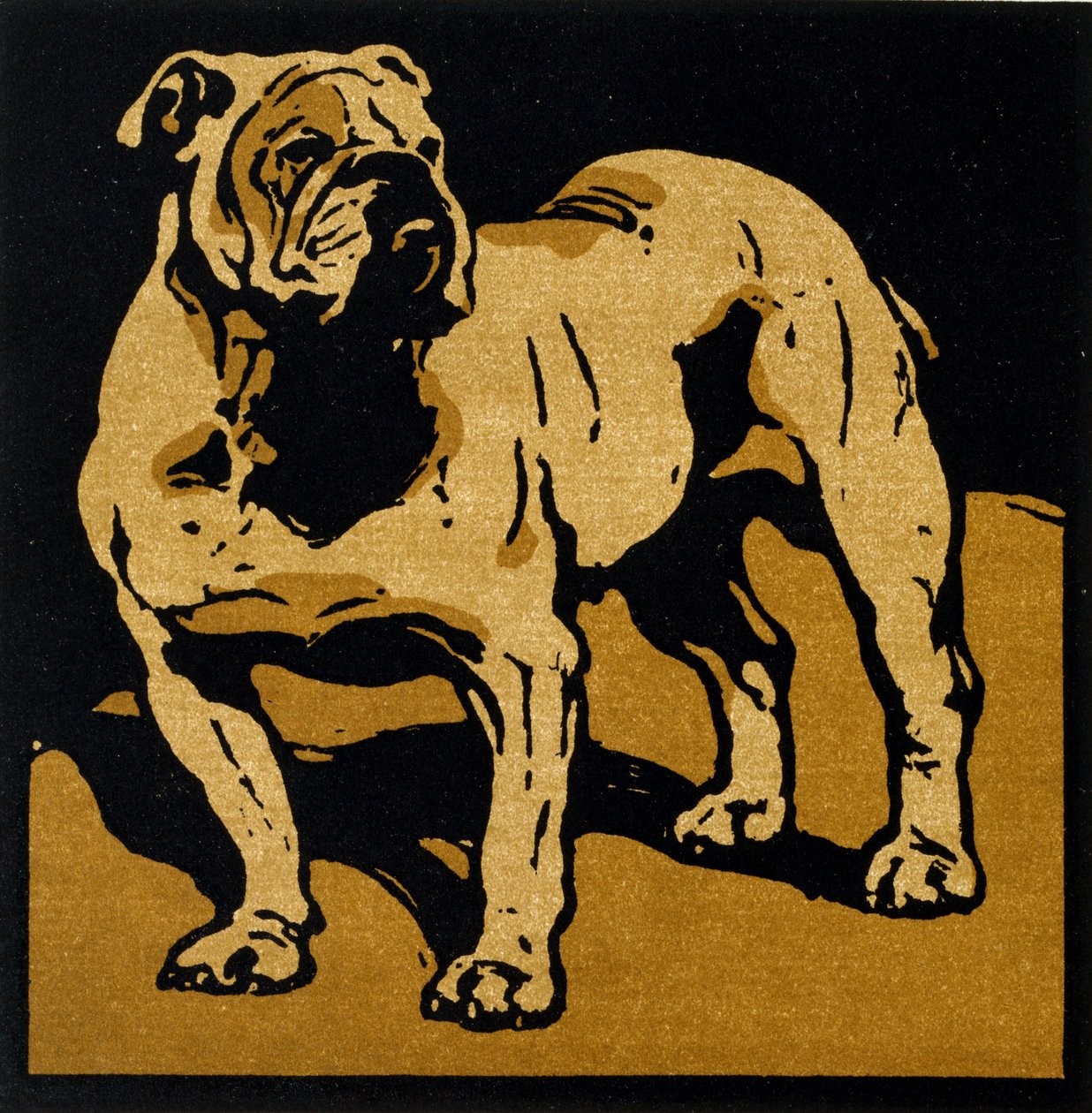 Brytyjski Bull-Dog, z „Kwadratowej księgi zwierząt”, wydanej przez Williama Heinemanna autorstwa William Nicholson