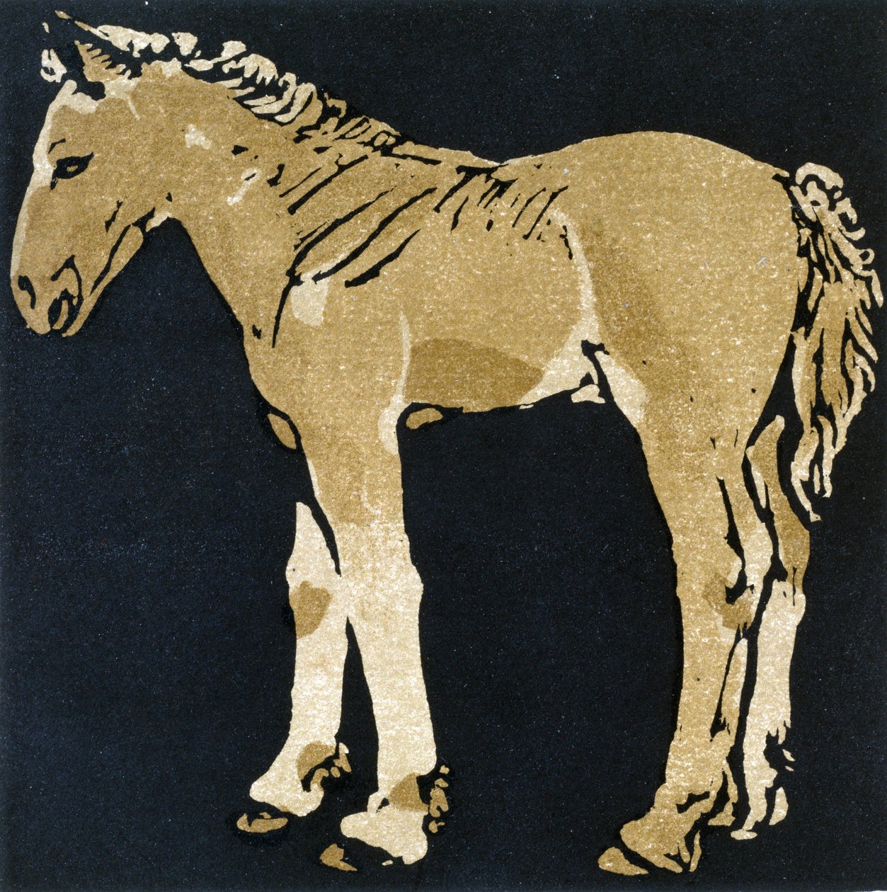 Rosnący źrebak, z „Kwadratowej księgi zwierząt”, wydanej przez Williama Heinemanna autorstwa William Nicholson