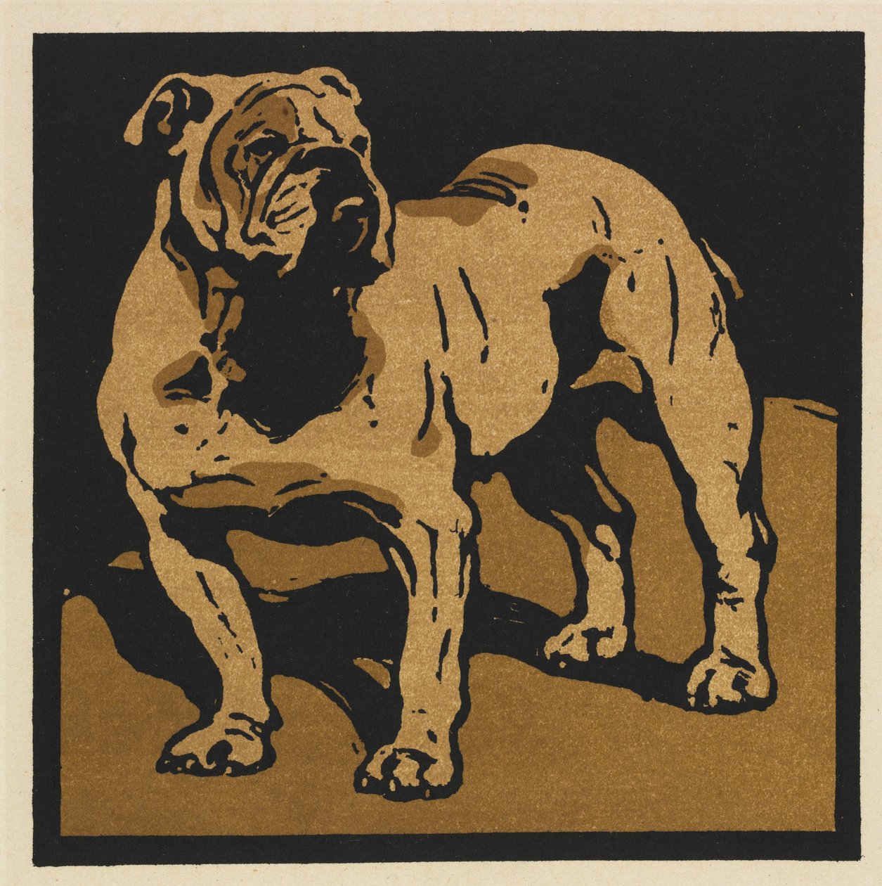 Kwadratowa księga zwierząt: brytyjski Bull-Dog autorstwa William Nicholson