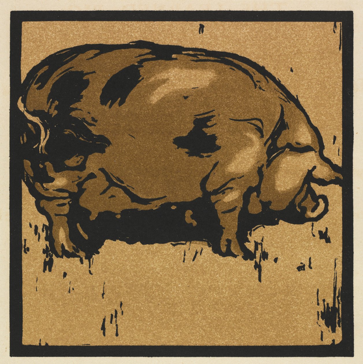 Kwadratowa księga zwierząt: uczona świnia autorstwa William Nicholson