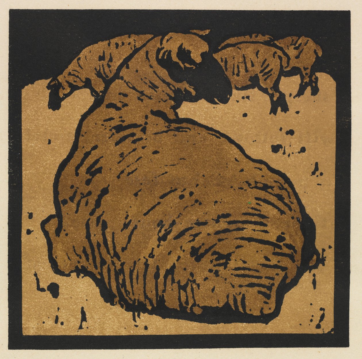 Kwadratowa księga zwierząt: Prosta Owca autorstwa William Nicholson