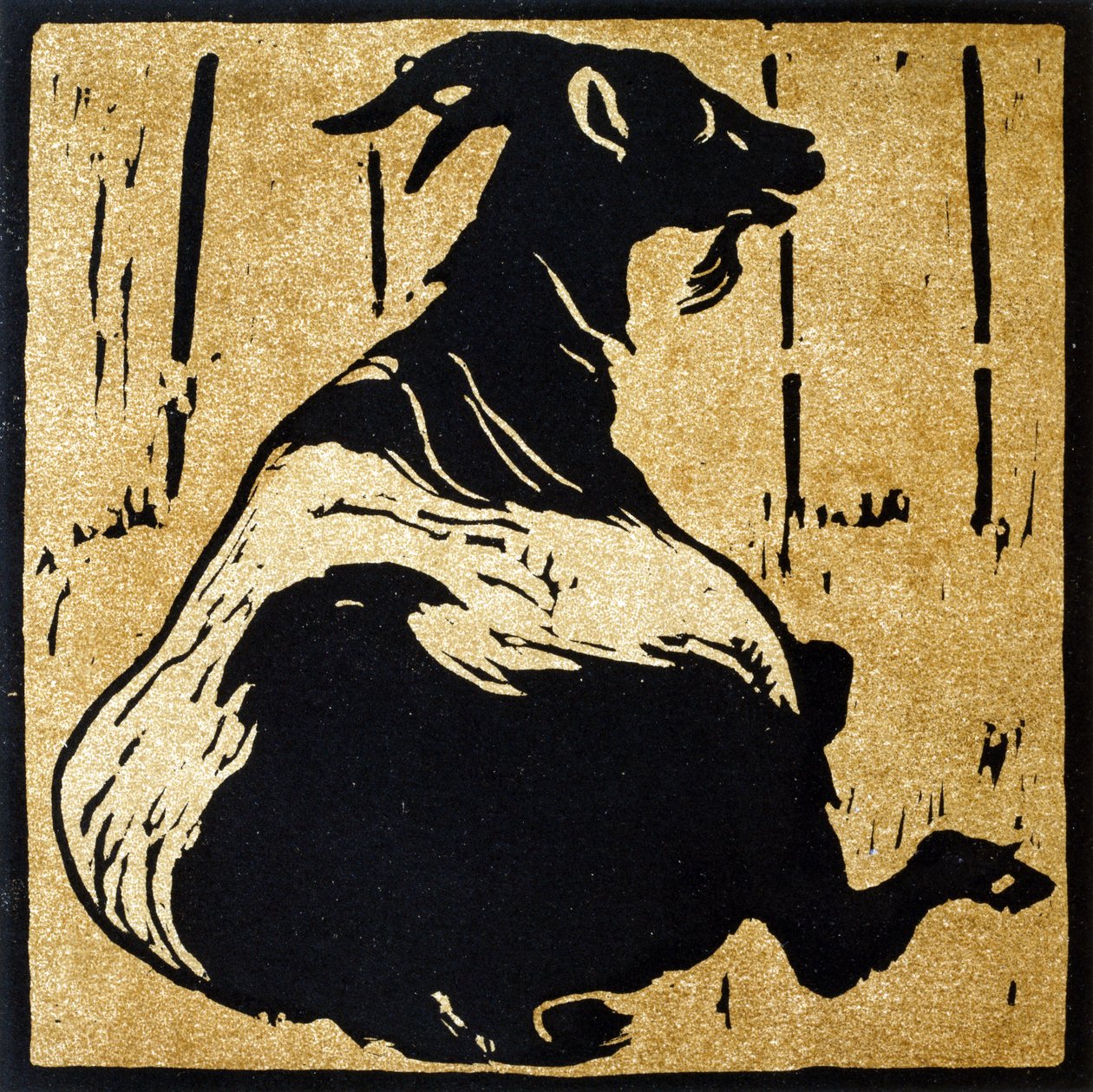 Pracowita koza z „Kwadratowej księgi zwierząt”, wydanej przez Williama Heinemanna autorstwa William Nicholson