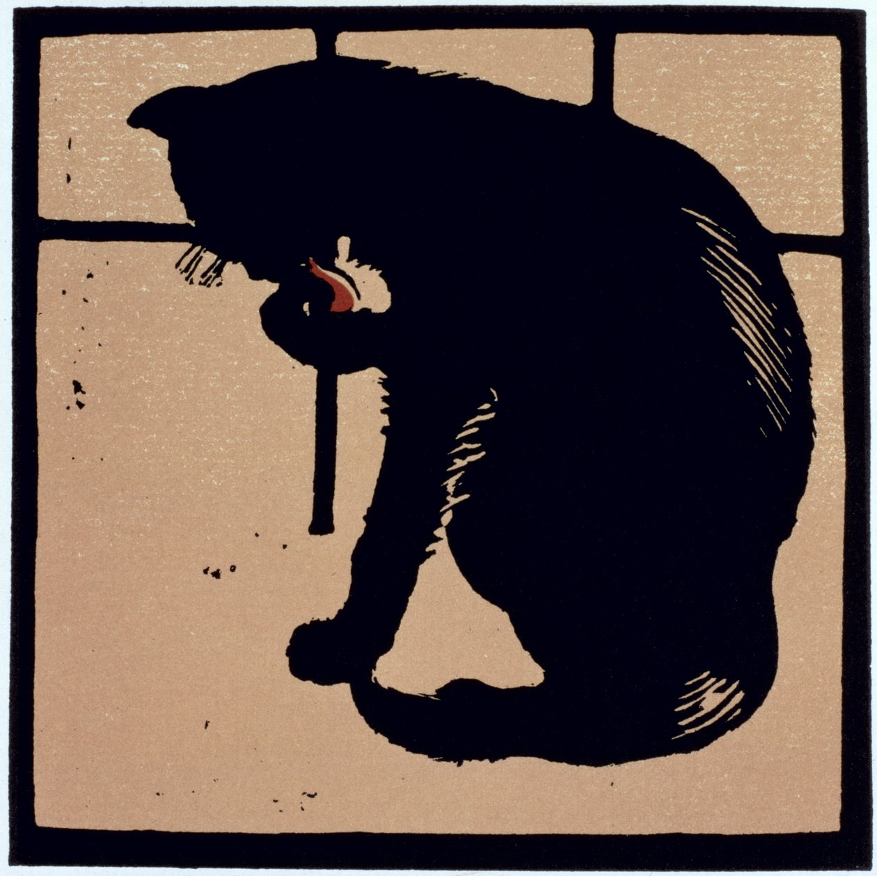 Niepospolity kot, z „Kwadratowej księgi zwierząt”, pierwotnie wydanej w 1900 r. (kolor lito) autorstwa William Nicholson