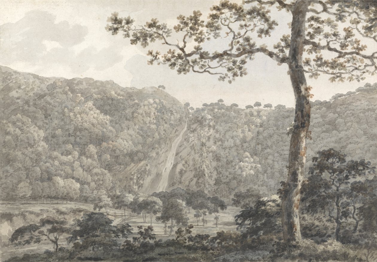 Wodospady w Powerscourt, Co. Wicklow, Irlandia (toaleta na papierze) autorstwa William Pars