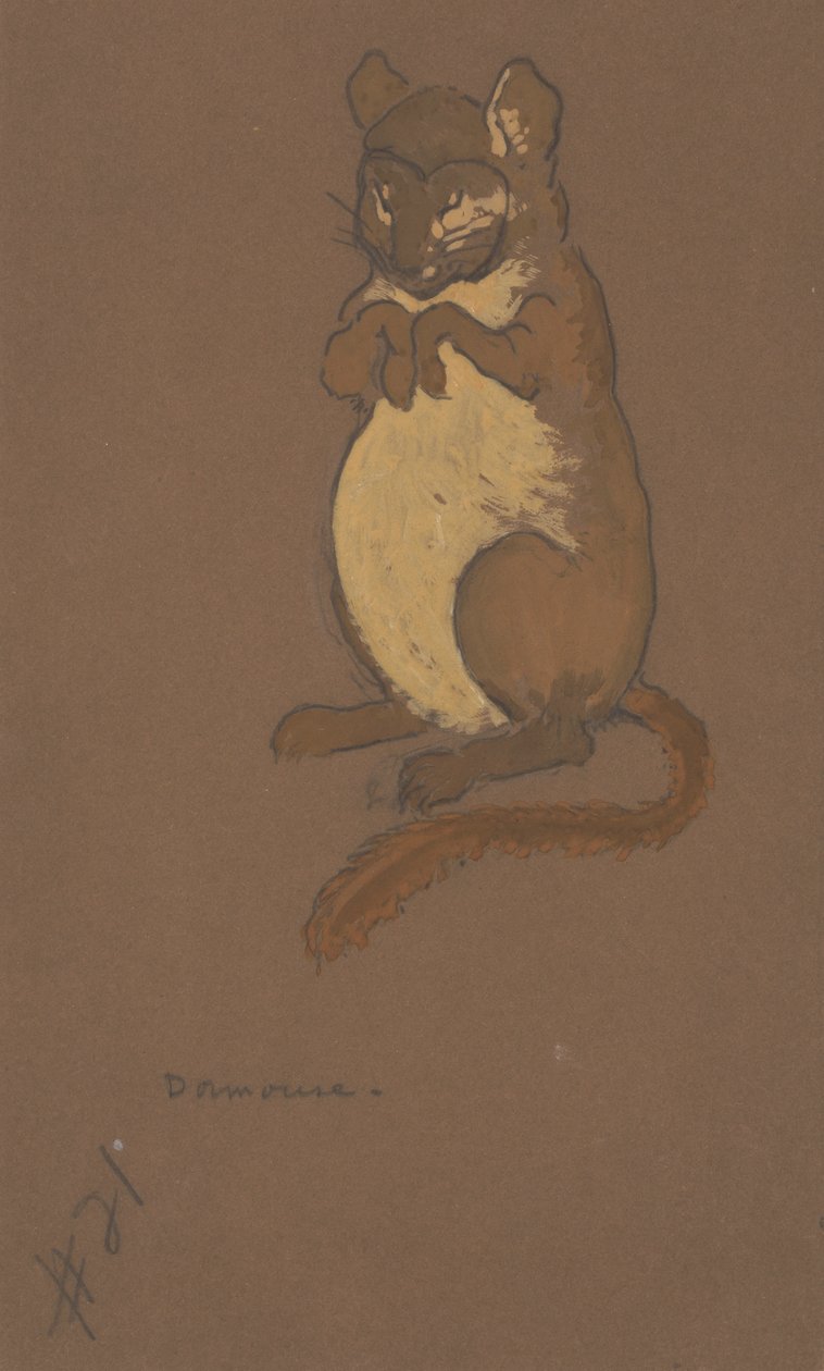 Projekt kostiumu popielicy dla Alicji w Krainie Czarów, 1915. autorstwa William Penhallow Henderson
