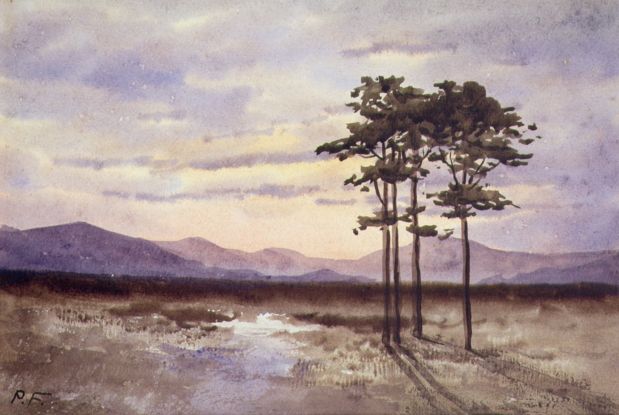 Sunset, County Sligo (akwarela na papierze) autorstwa William Percy French