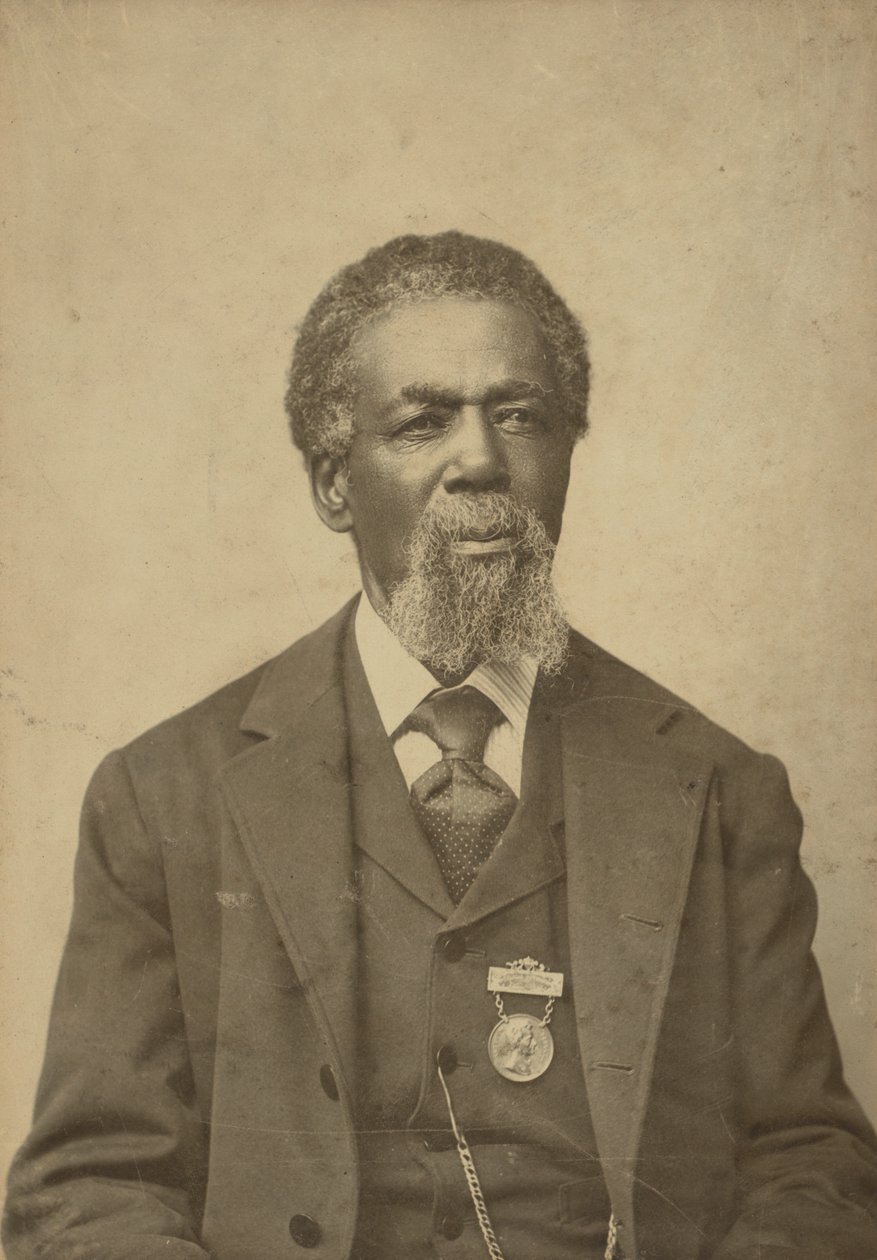 Portret z karty gabinetowej Thomasa Mundy Petersona, 1884. autorstwa William R. Tobias