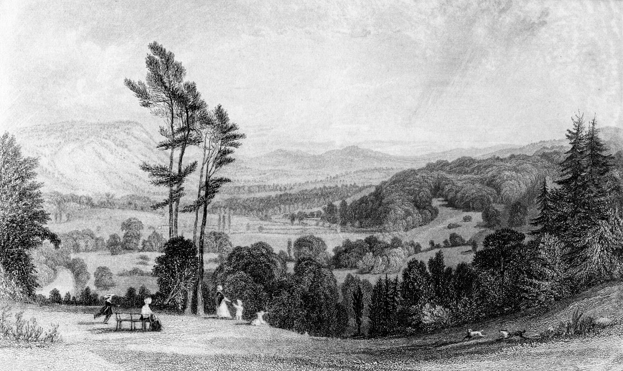 Widok z Norbury, Surrey, XIX wiek. autorstwa William Radclyffe