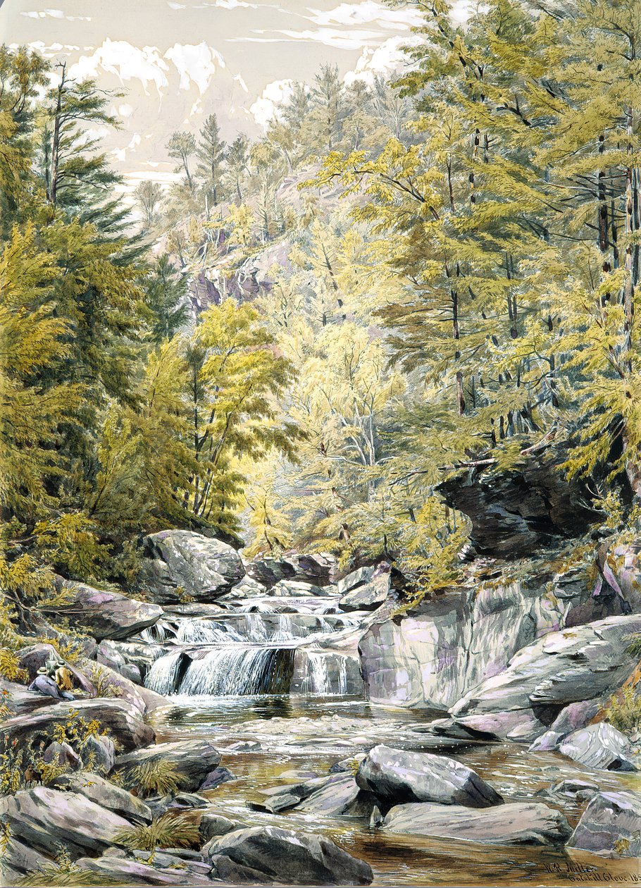 Ząbek Catskill, 1856. autorstwa William Rickarby Miller