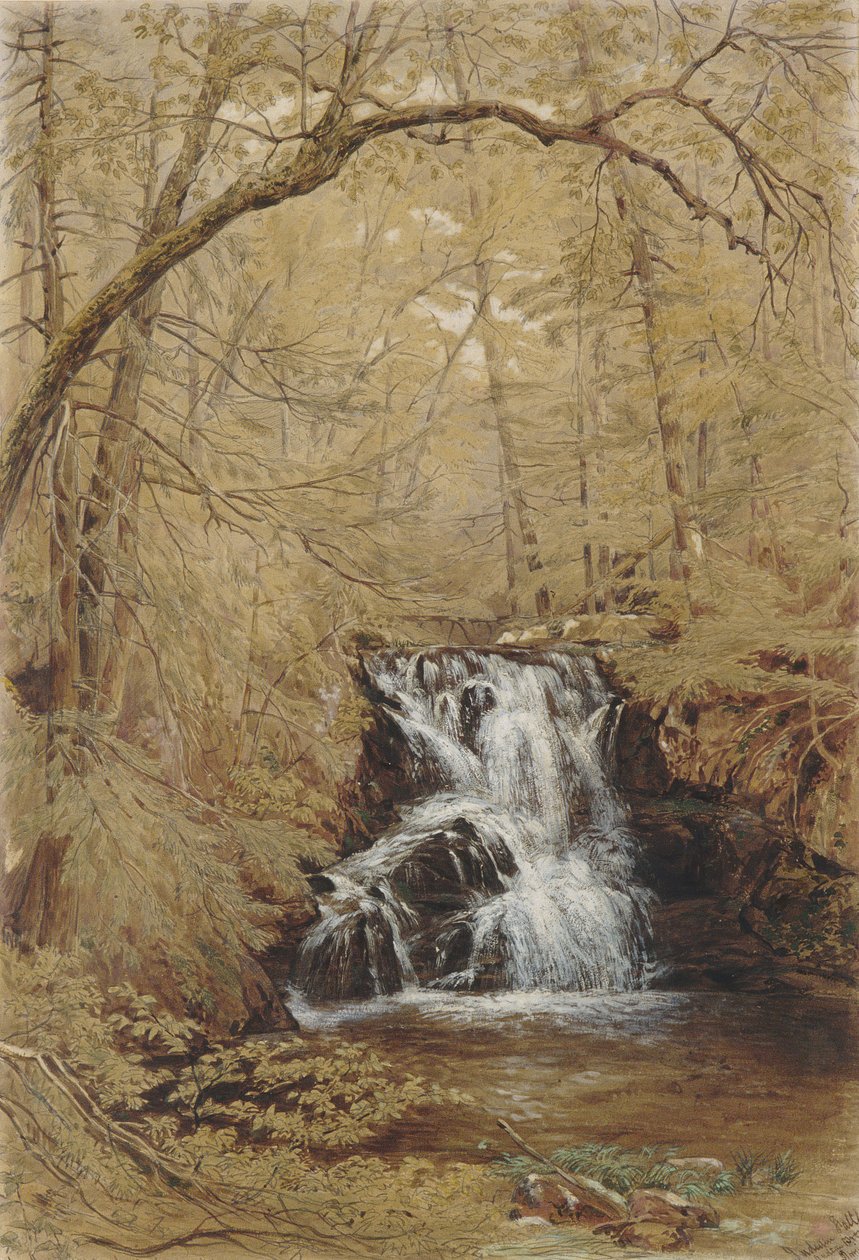 Indian Falls, Indian Brook, Cold Springs, Nowy Jork, 1850. autorstwa William Rickarby Miller