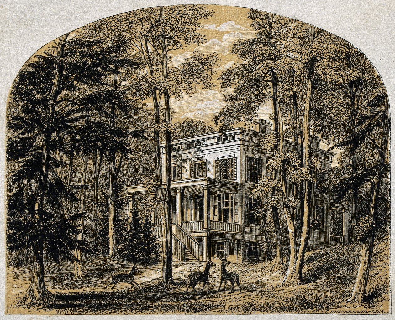Dom Jamesa Johna Audubona „Minniesland”, wyd. C 1861 (drewno grawerowane) autorstwa William Rickarby Miller