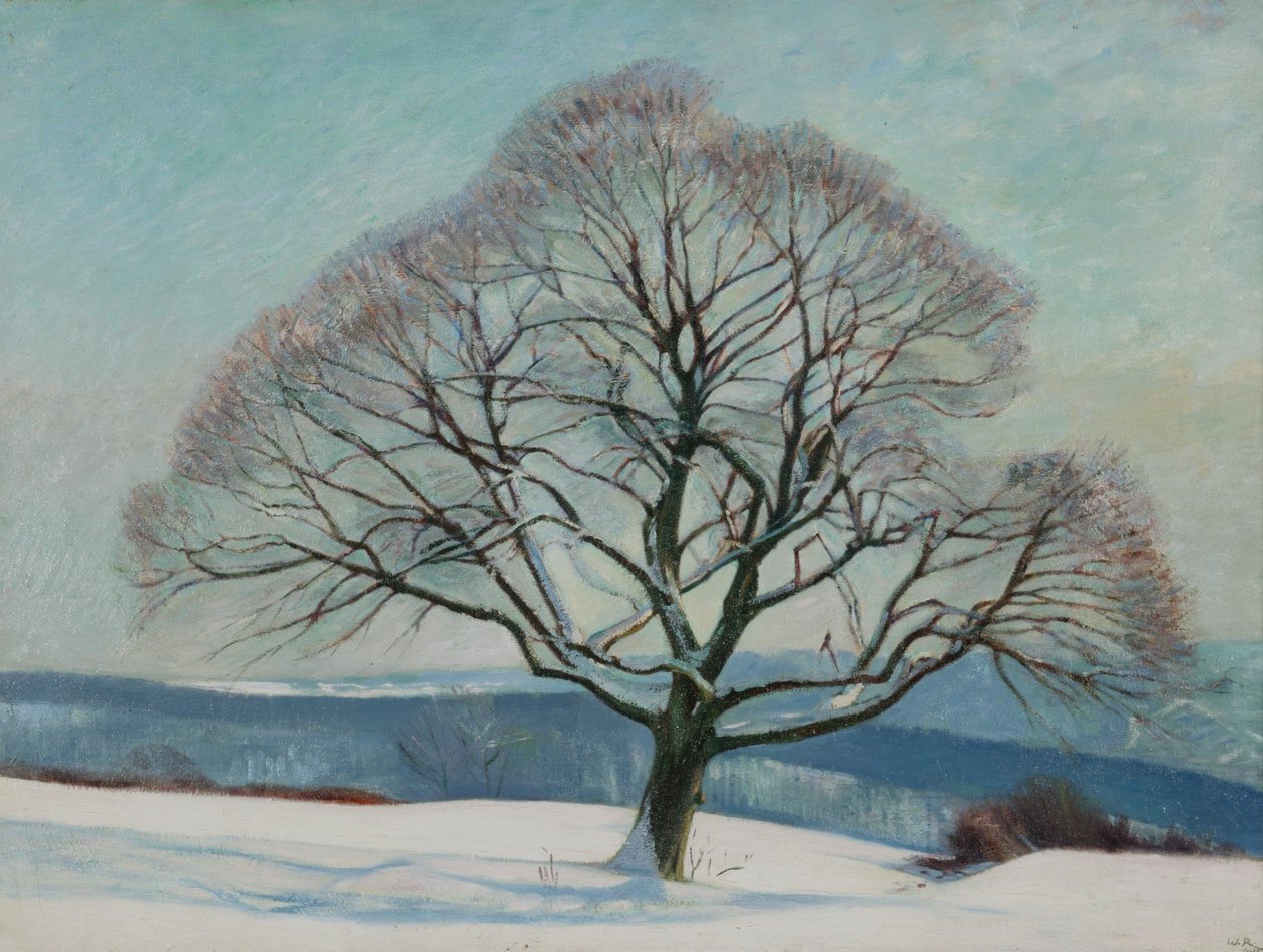 Drzewo w zimie autorstwa William Rothenstein