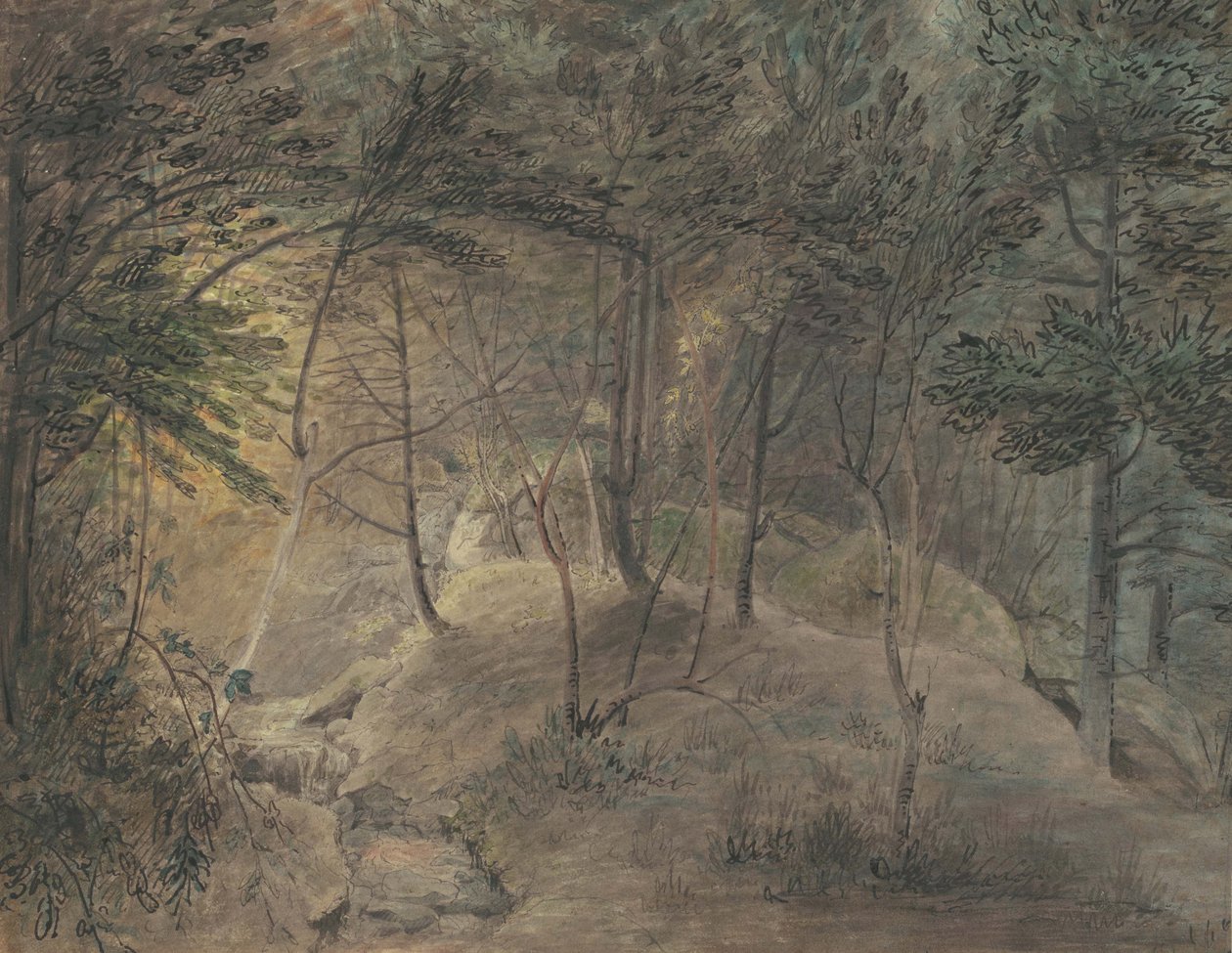 Widok ze Źródełka w Echo, ok. 1808 (akwarela i tusz na papierze tkanym) autorstwa William Russell Birch