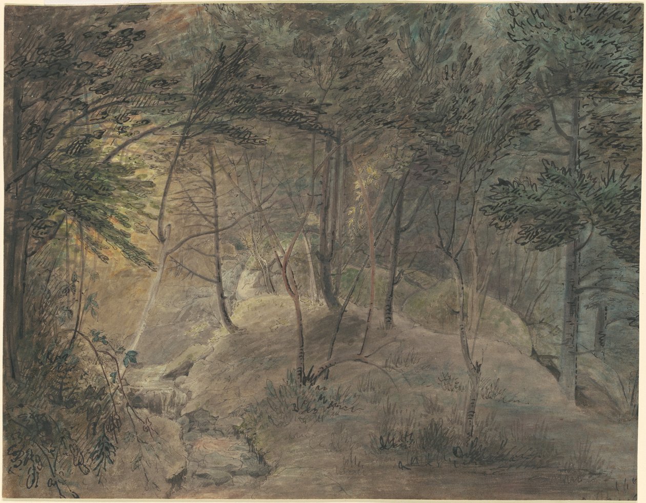 Widok ze Źródełka w Echo autorstwa William Russell Birch