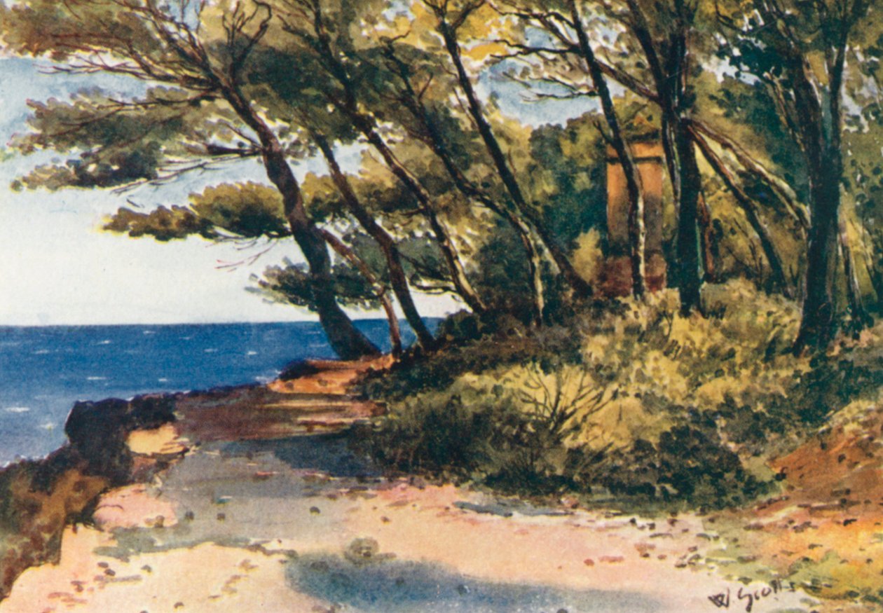  autorstwa William Scott