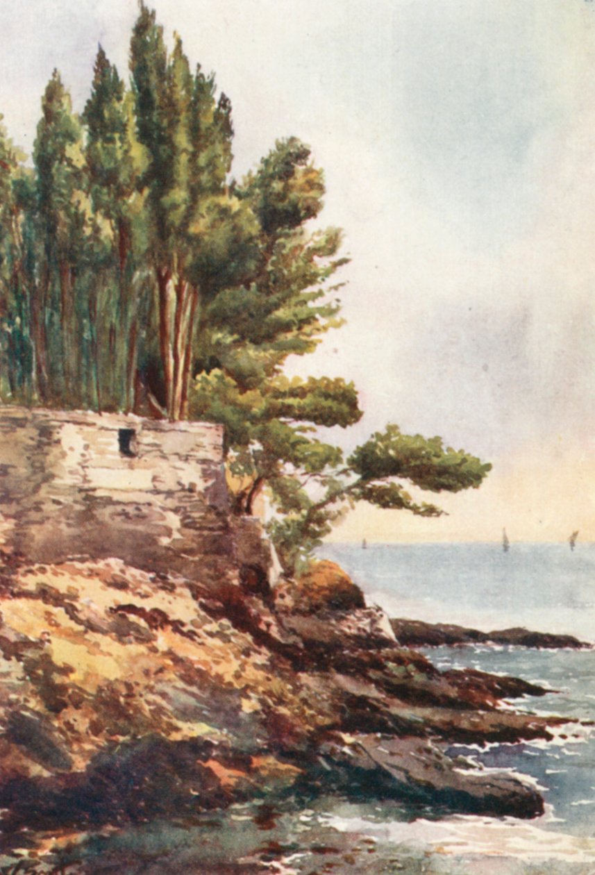  autorstwa William Scott