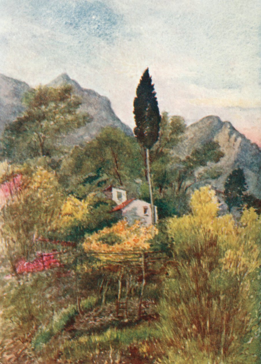 autorstwa William Scott