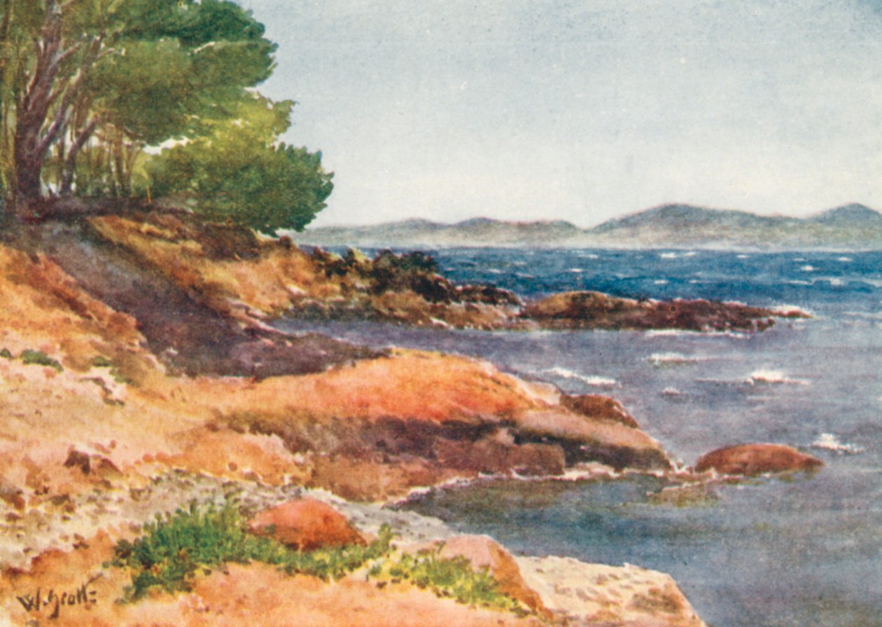  autorstwa William Scott