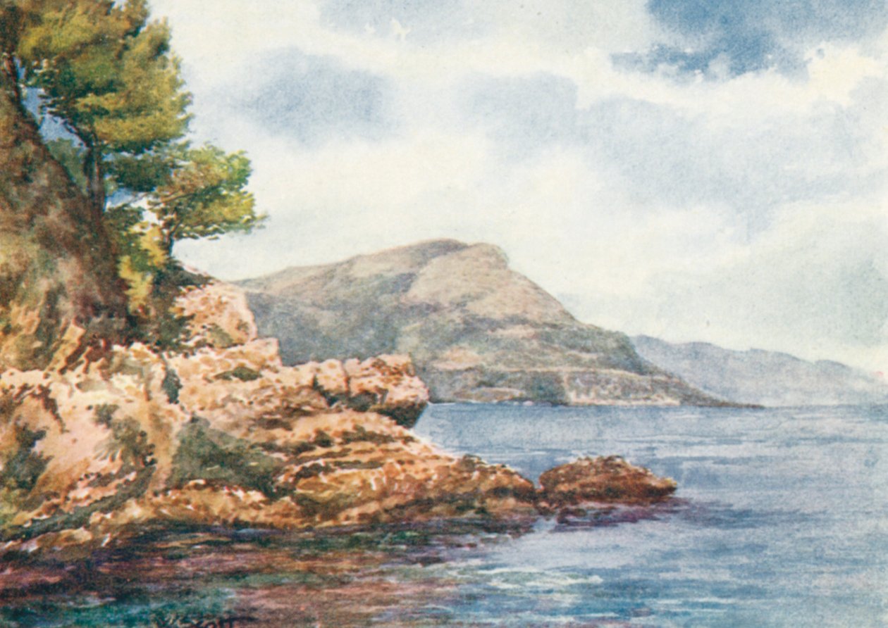  autorstwa William Scott
