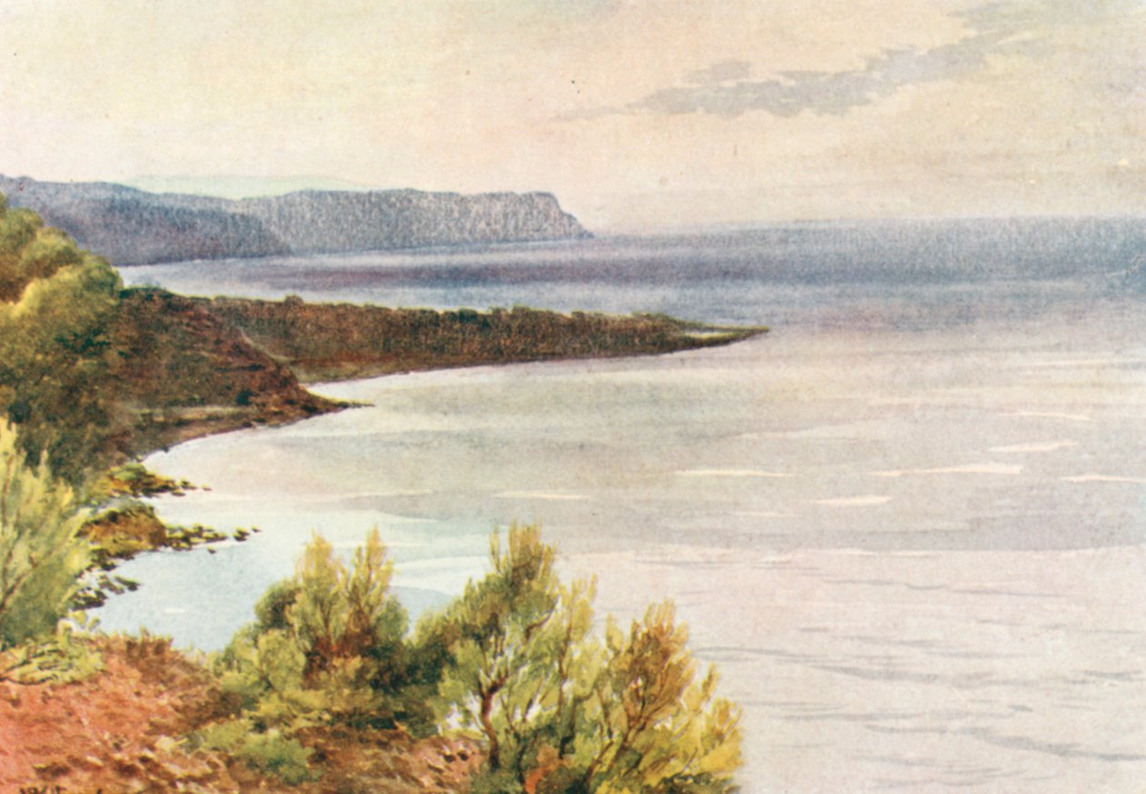  autorstwa William Scott