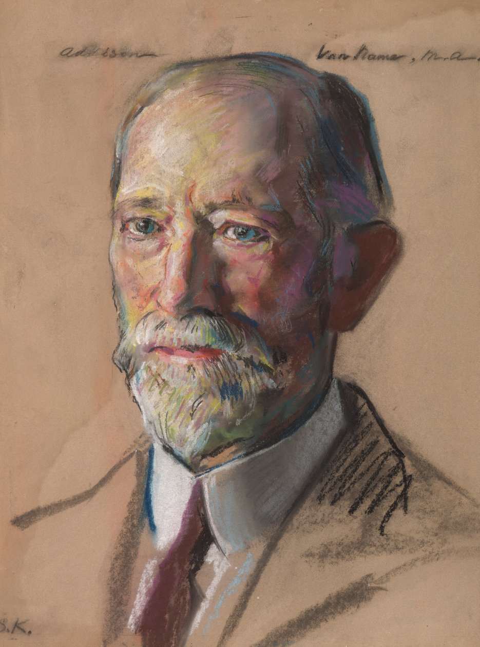 Addison Van Imię B.A. 1858-Biblioteka 1865-1905 autorstwa William Sergeant Kendall